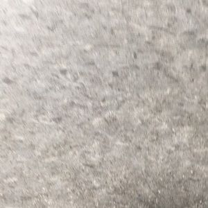 Meet your Posher, Everett